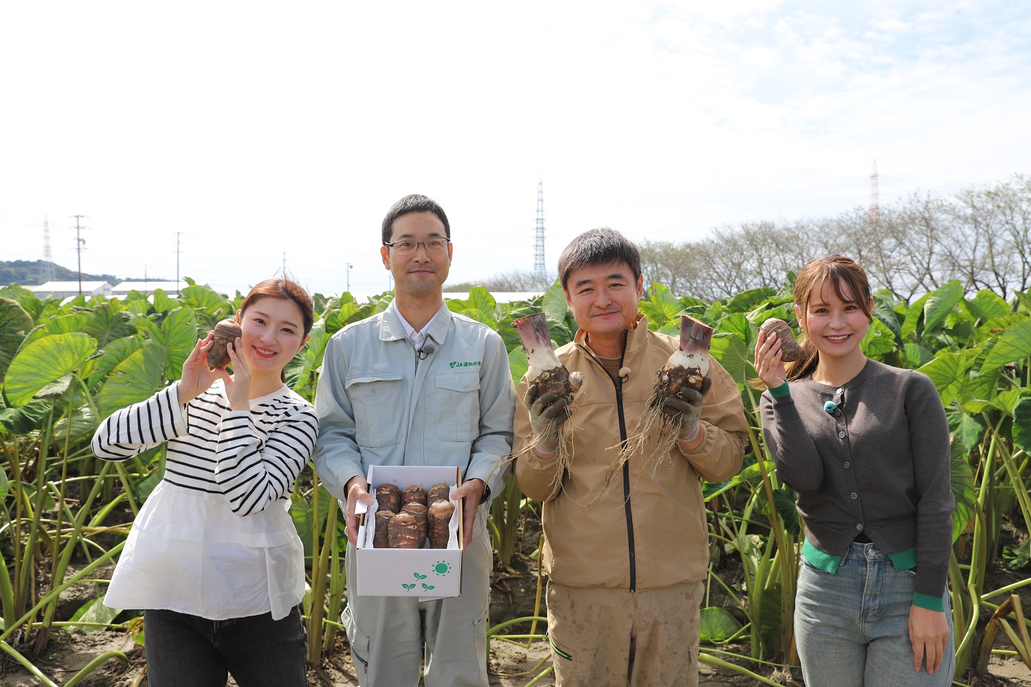 TV見てね！海老芋！【磐田市】