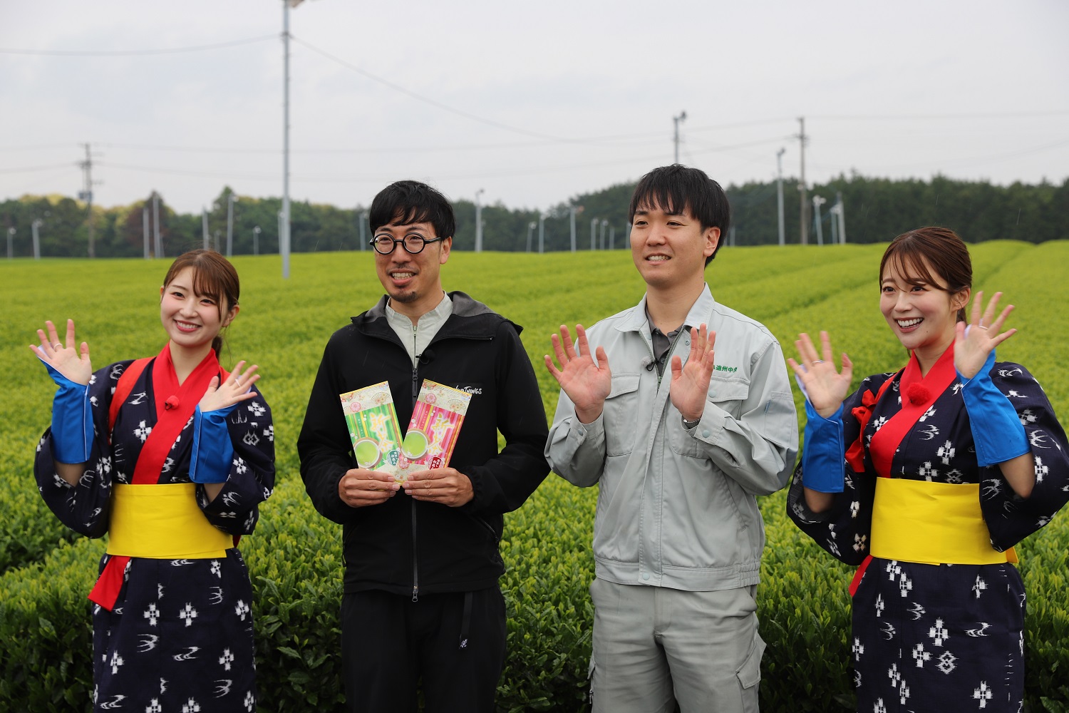 TV見てね！茶（碾茶）！【袋井市】